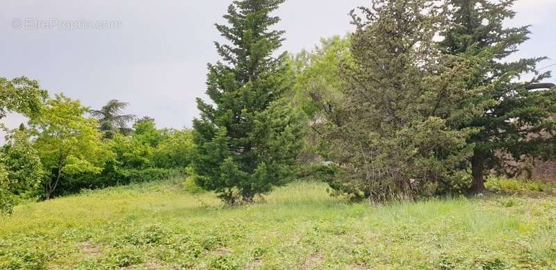 Terrain à BOURG-SAINT-ANDEOL