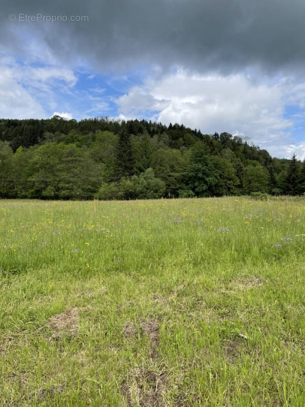 Terrain à BAN-DE-LAVELINE