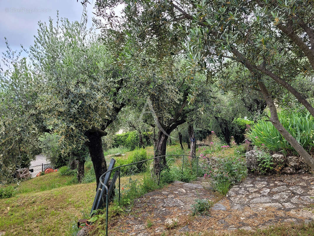 Terrain à GRASSE