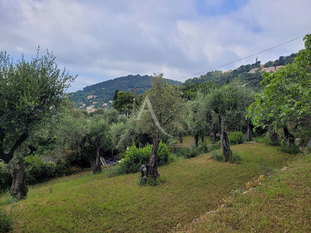 Terrain à GRASSE