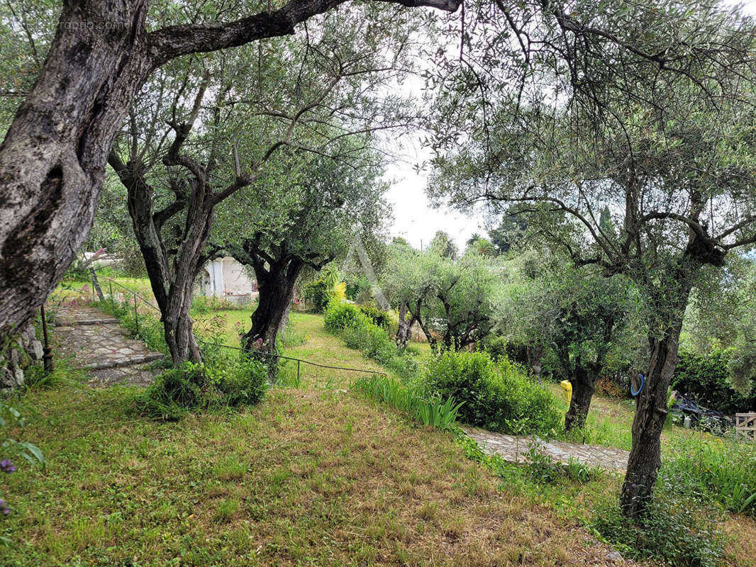 Terrain à GRASSE