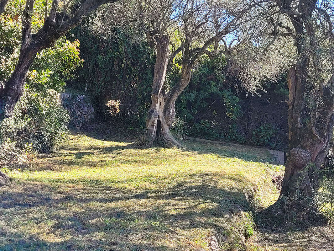 Terrain à GRASSE