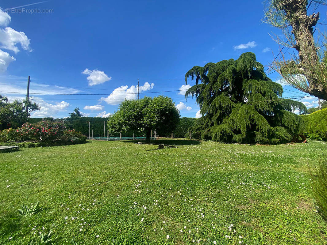 Terrain à D&#039;HUISON-LONGUEVILLE