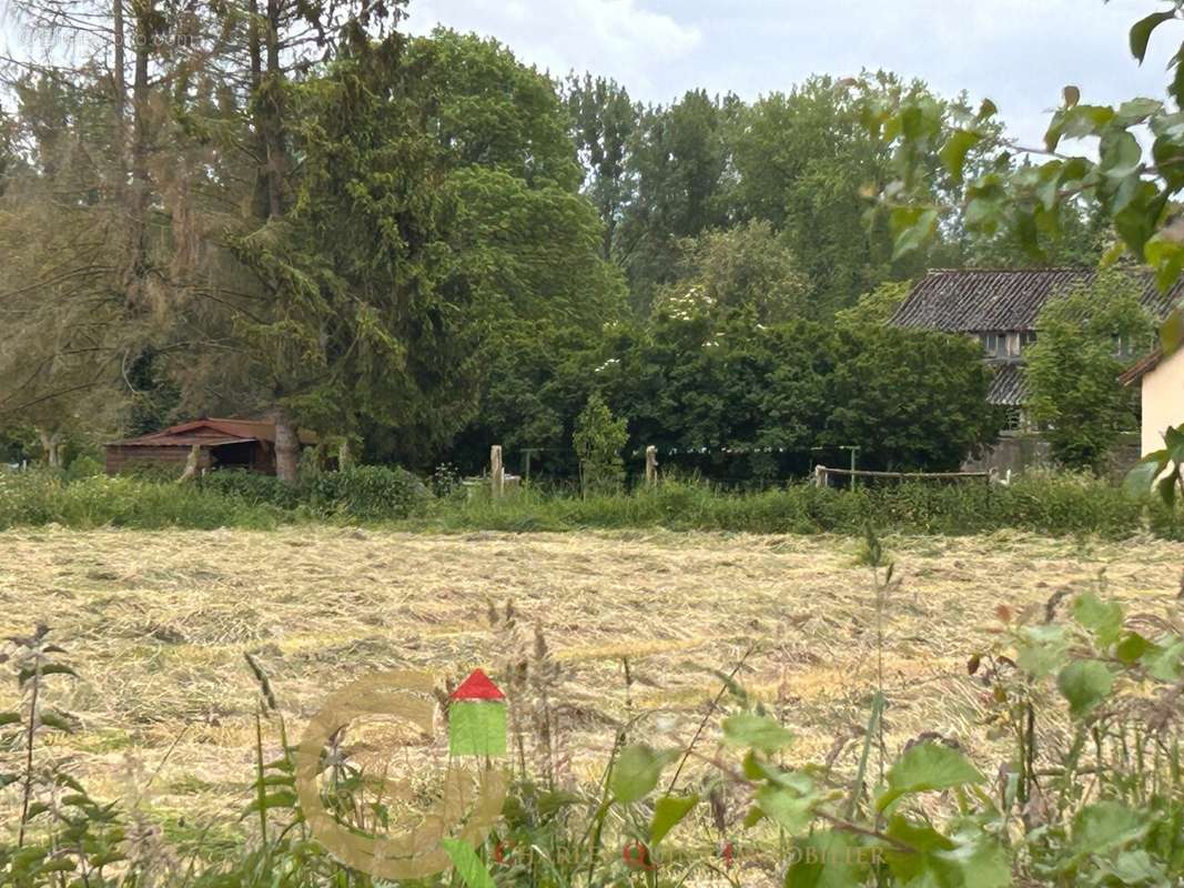 Terrain à FROHEN-LE-GRAND