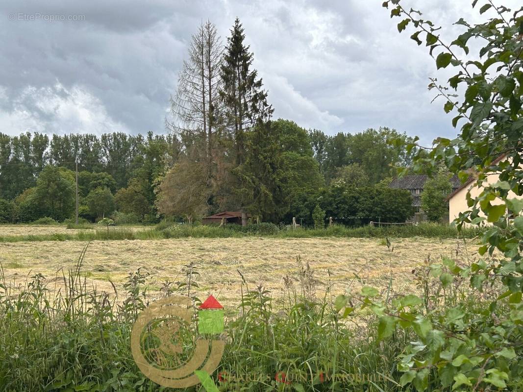 Terrain à FROHEN-LE-GRAND