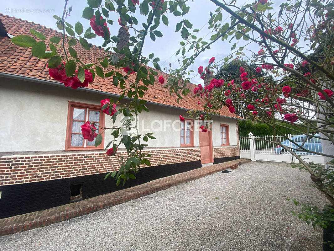 Maison à HESDIN