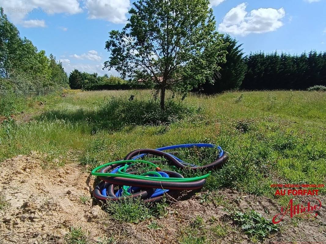 Terrain à LABASTIDE-CLERMONT