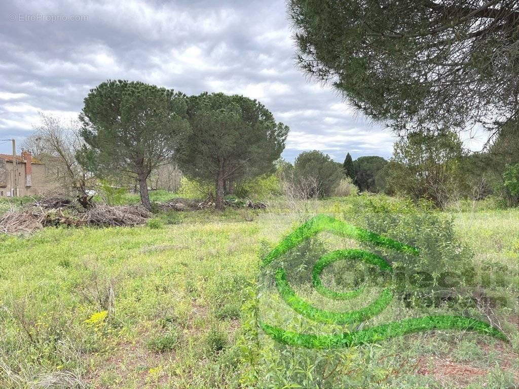 Terrain à BEZIERS