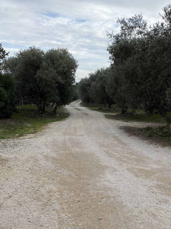 Terrain à CHATEAUNEUF-DE-GADAGNE