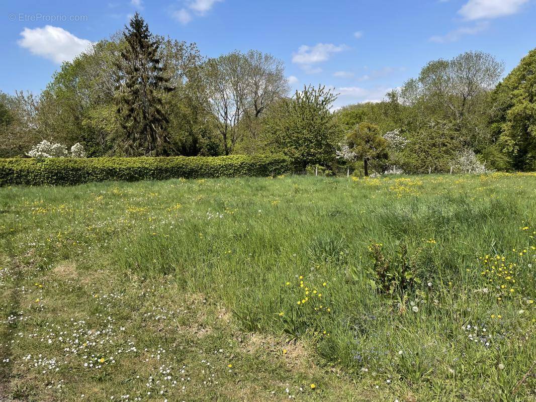 Terrain à VERDEREL-LES-SAUQUEUSE