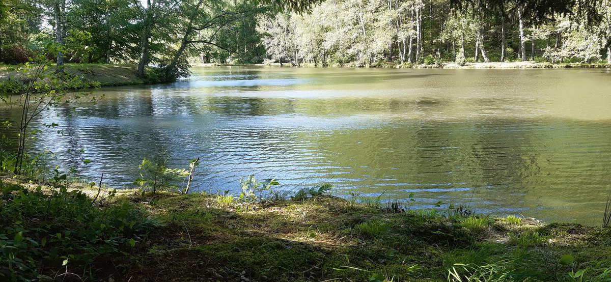 Terrain à EPINAL