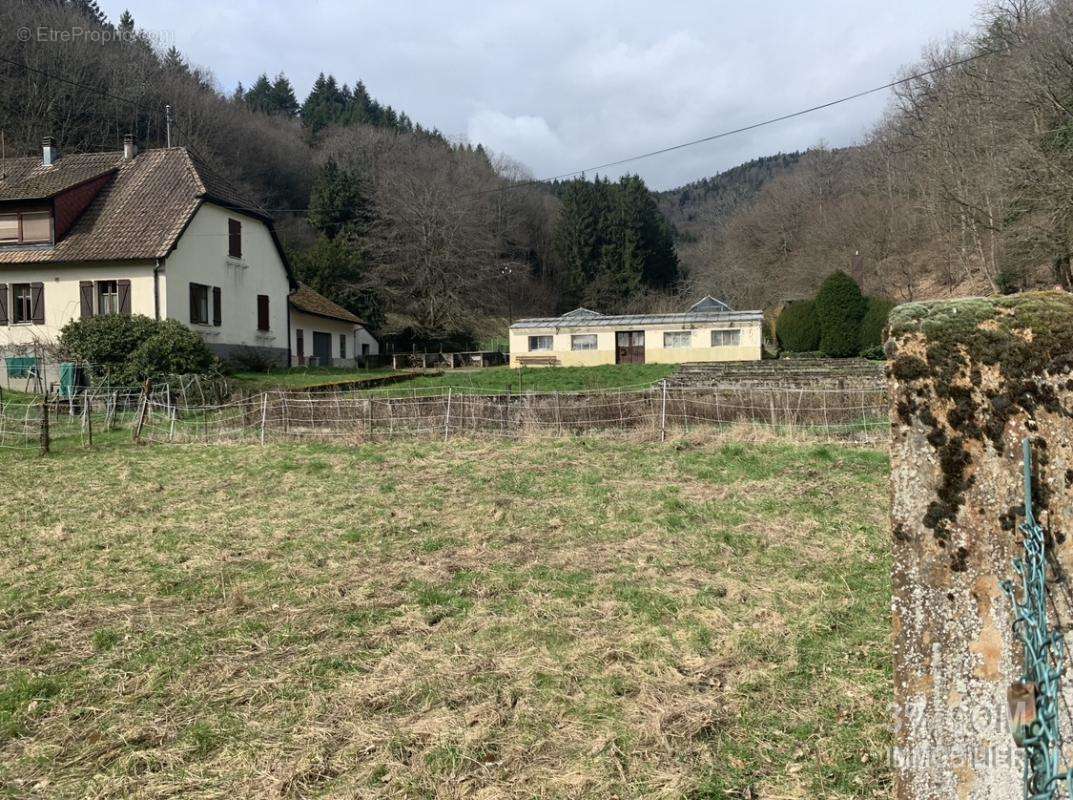 Maison à SAINTE-CROIX-AUX-MINES