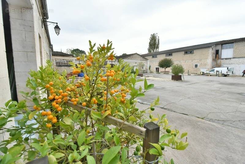 Appartement à ANGOULEME