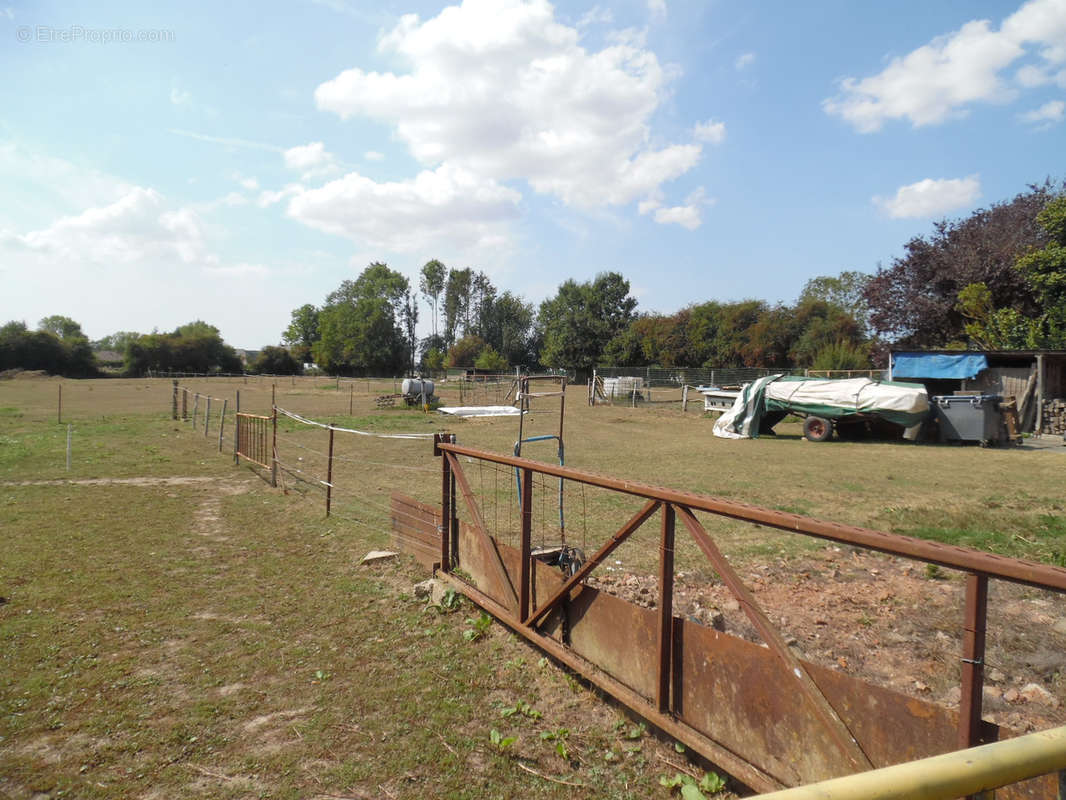 Terrain à LE MESNIL-REAUME