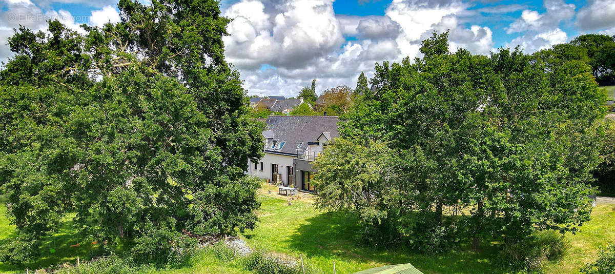 Maison à LAMBALLE