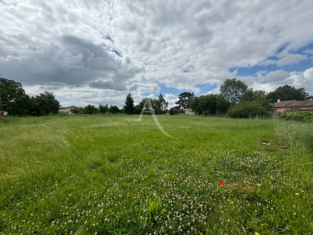 Terrain à MARSSAC-SUR-TARN