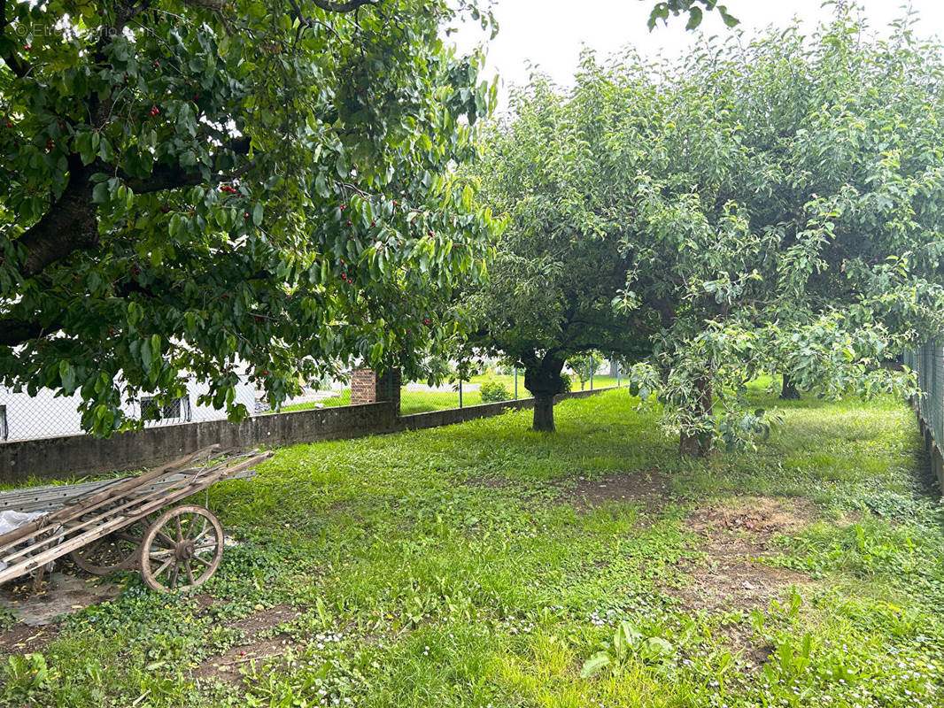 Terrain à ISSENHEIM