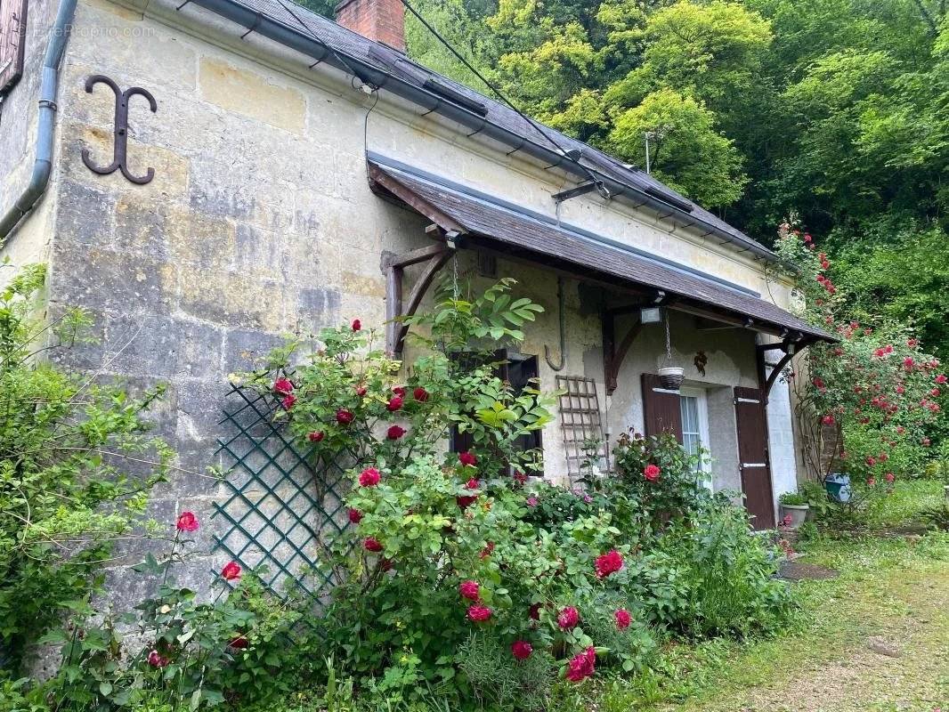 Maison à VILLEDIEU-LE-CHATEAU