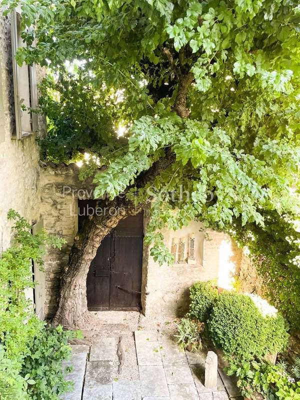 Maison à VAISON-LA-ROMAINE