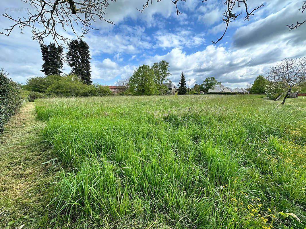 Terrain à CHANNAY-SUR-LATHAN