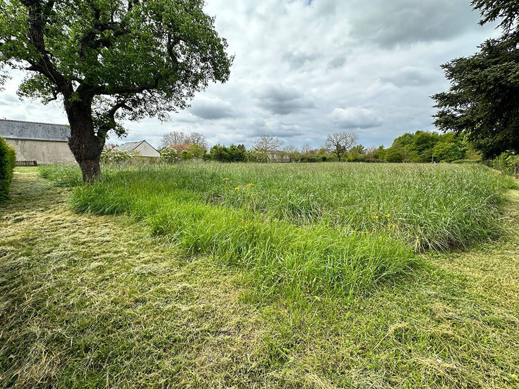 Terrain à CHANNAY-SUR-LATHAN