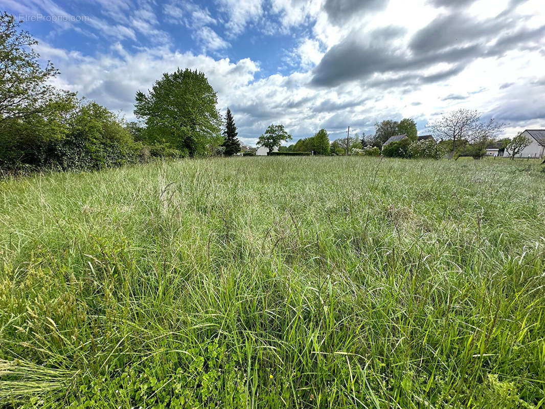 Terrain à CHANNAY-SUR-LATHAN