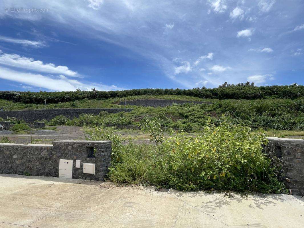 Terrain à SAINT-PIERRE