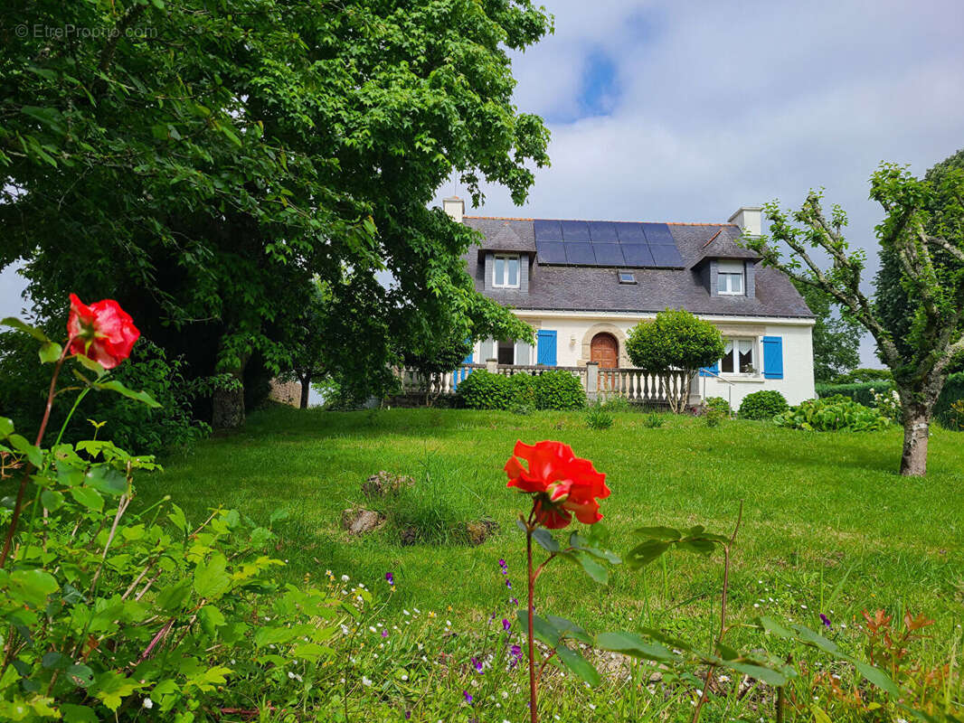 Maison à PLOEREN