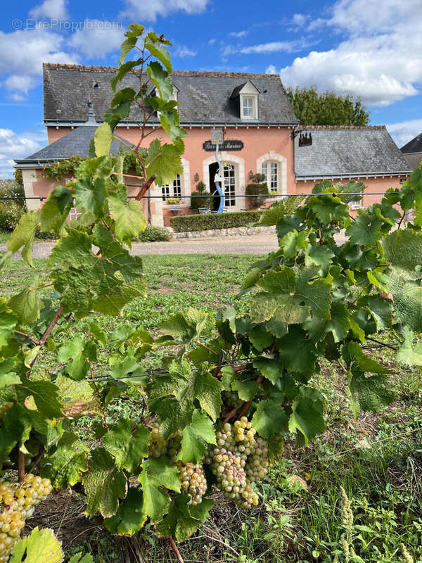 Maison à VOUVRAY