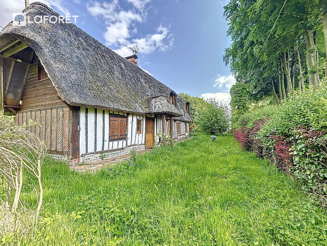 Maison à FAUVILLE-EN-CAUX