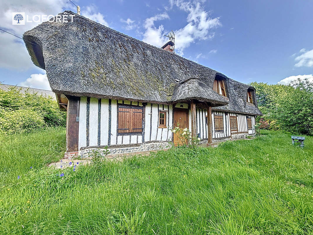 Maison à FAUVILLE-EN-CAUX