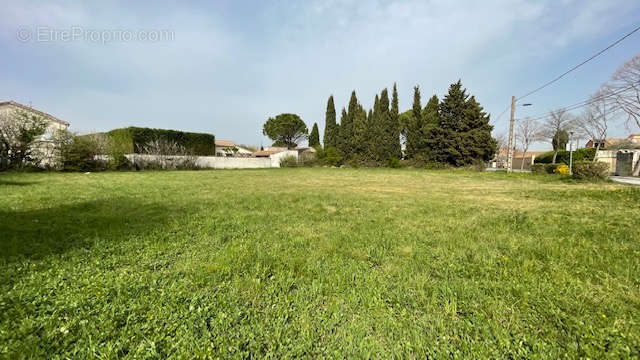 Terrain à ENTRAIGUES-SUR-LA-SORGUE