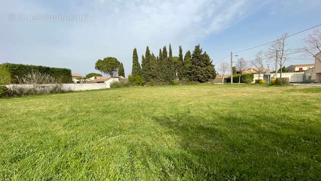 Terrain à ENTRAIGUES-SUR-LA-SORGUE