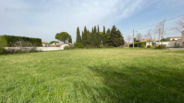 Terrain à ENTRAIGUES-SUR-LA-SORGUE