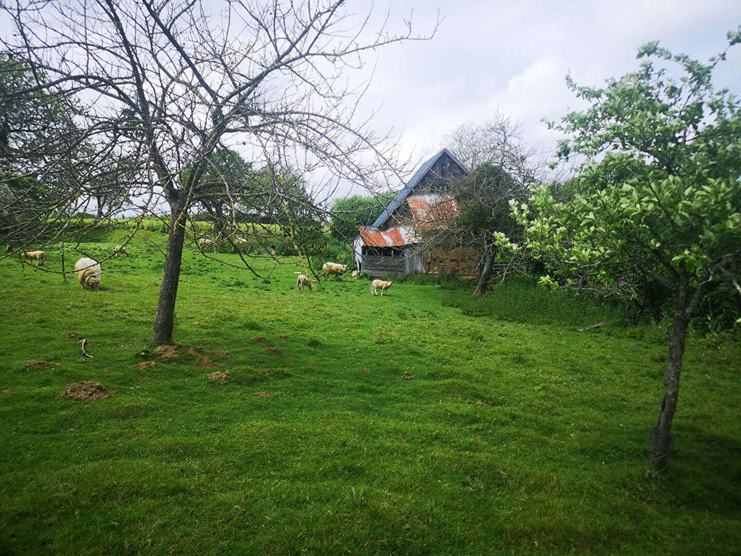 Maison à MARCILLY