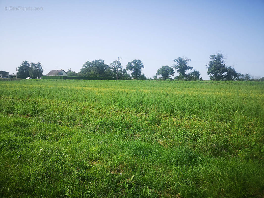 Terrain à DUCEY