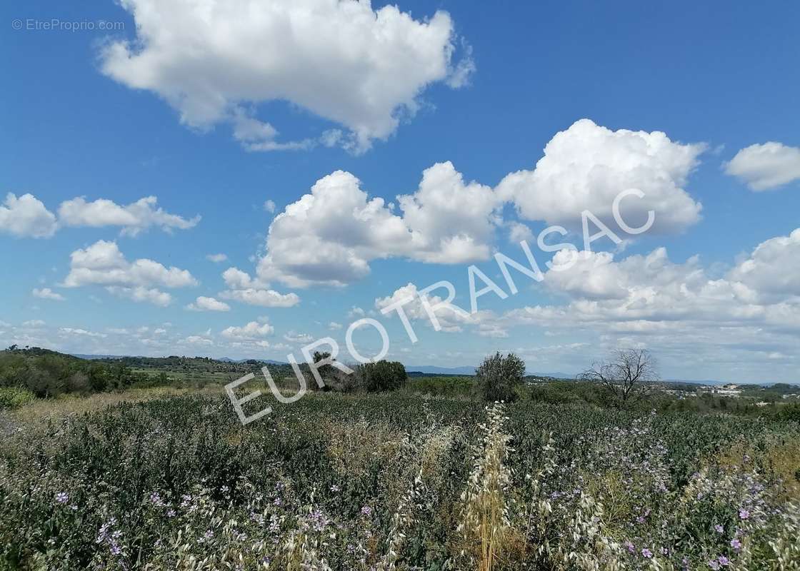 Terrain à TOURBES