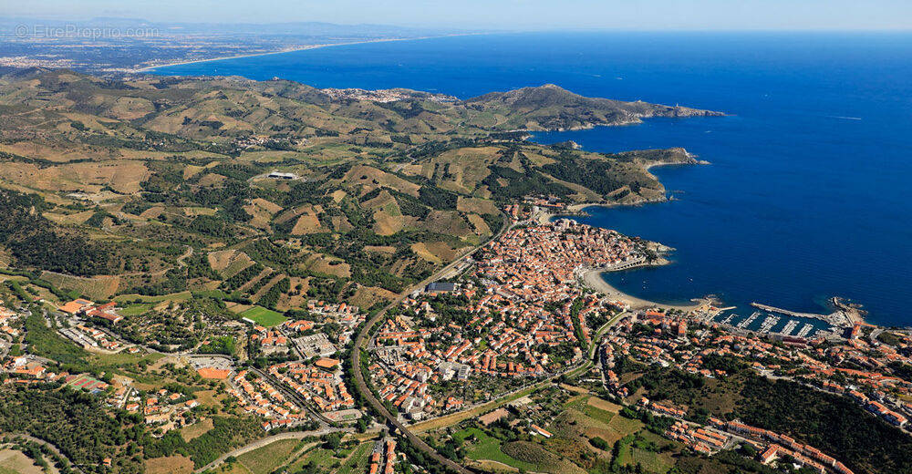 Commerce à COLLIOURE