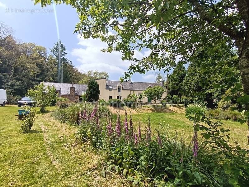 Maison à PLUVIGNER