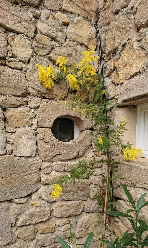 Maison à VILLEFRANCHE-DE-LAURAGAIS