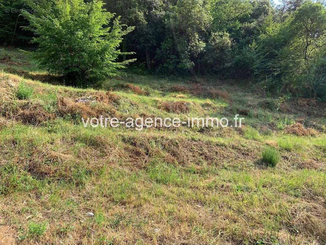 Terrain à SAINT-BLAISE