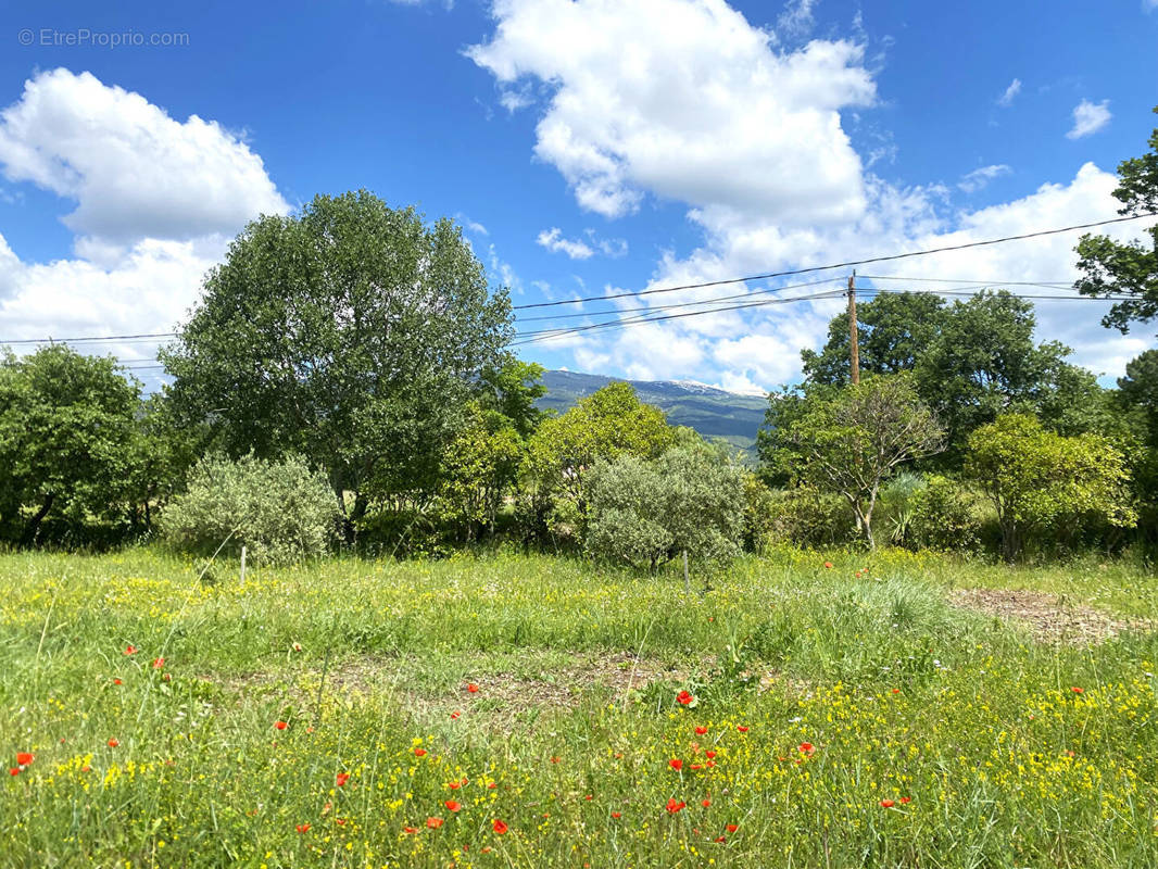 Terrain à BEDOIN