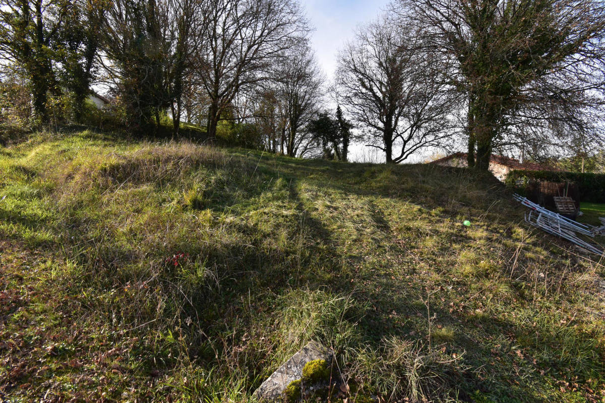 DSC_0001 - Terrain à TOUVRE