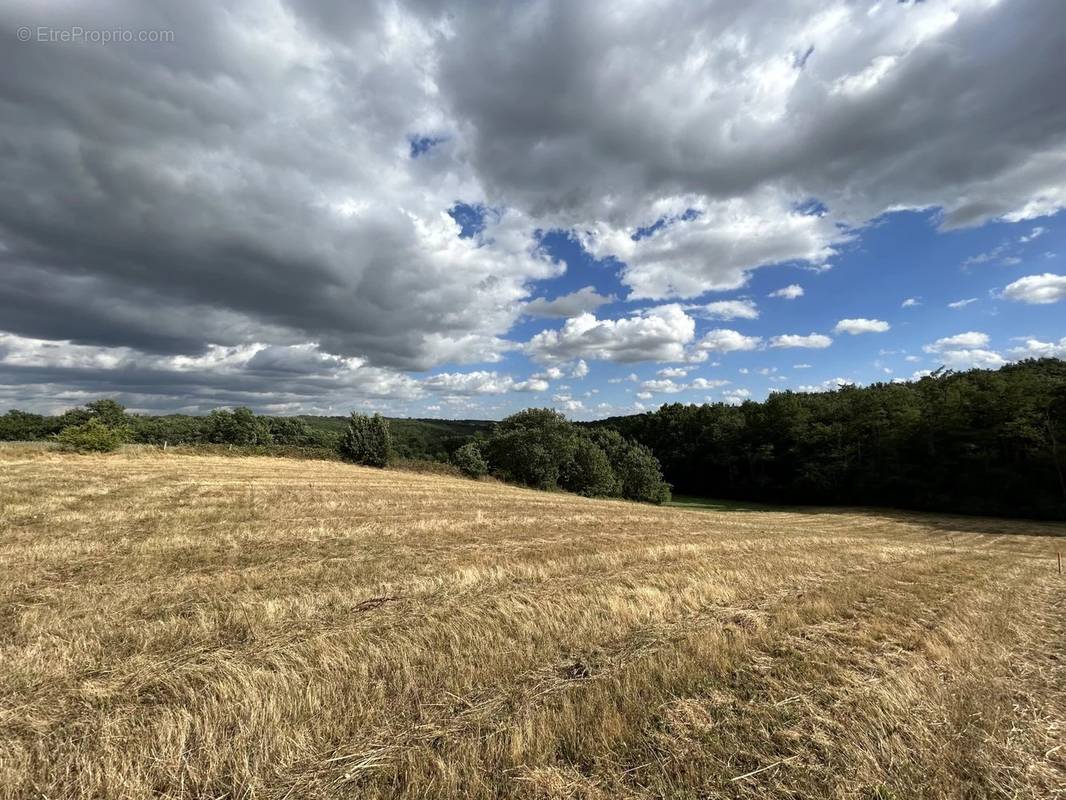 Terrain à LE BORN