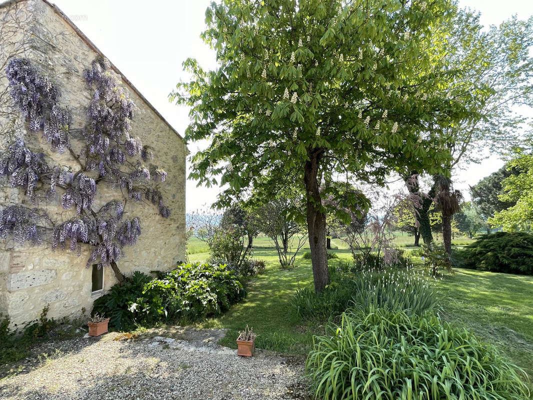 gîte pigeonnier - Maison à LECTOURE