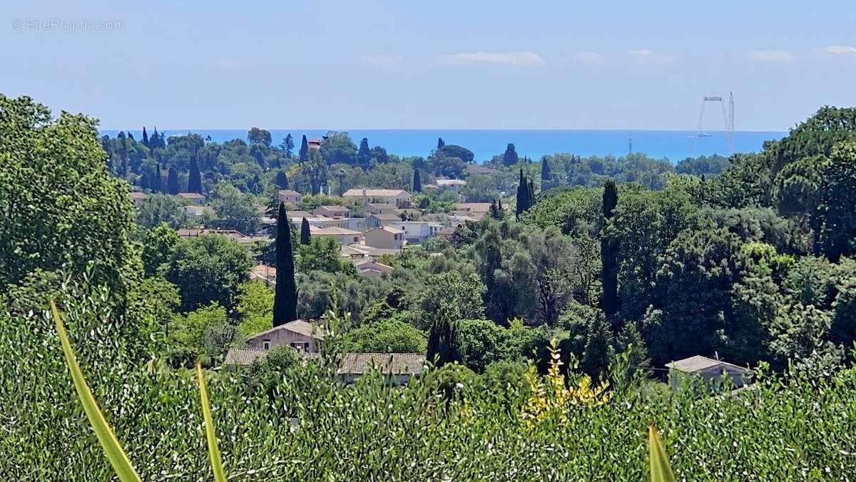 Maison à BIOT