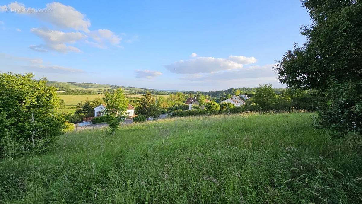 Terrain à CHATEAU-SALINS