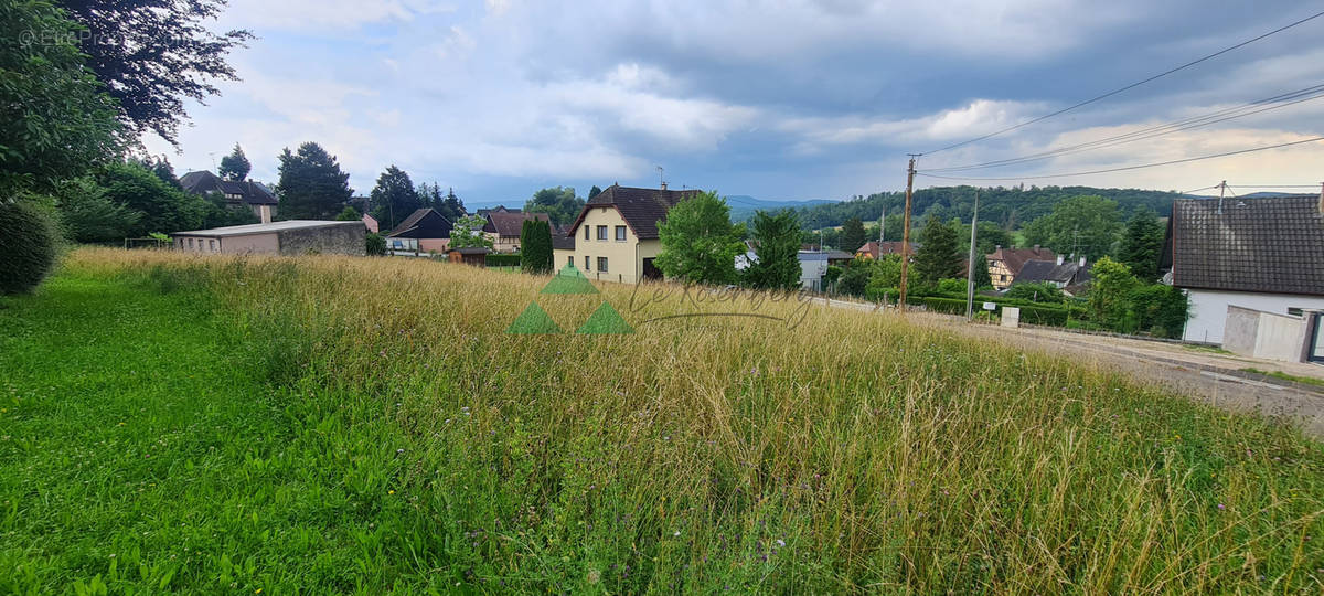 Terrain à ROPPENTZWILLER