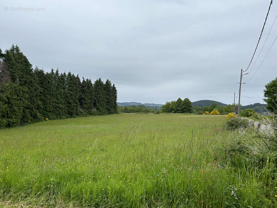 Terrain à SAINT-YRIEIX-LE-DEJALAT