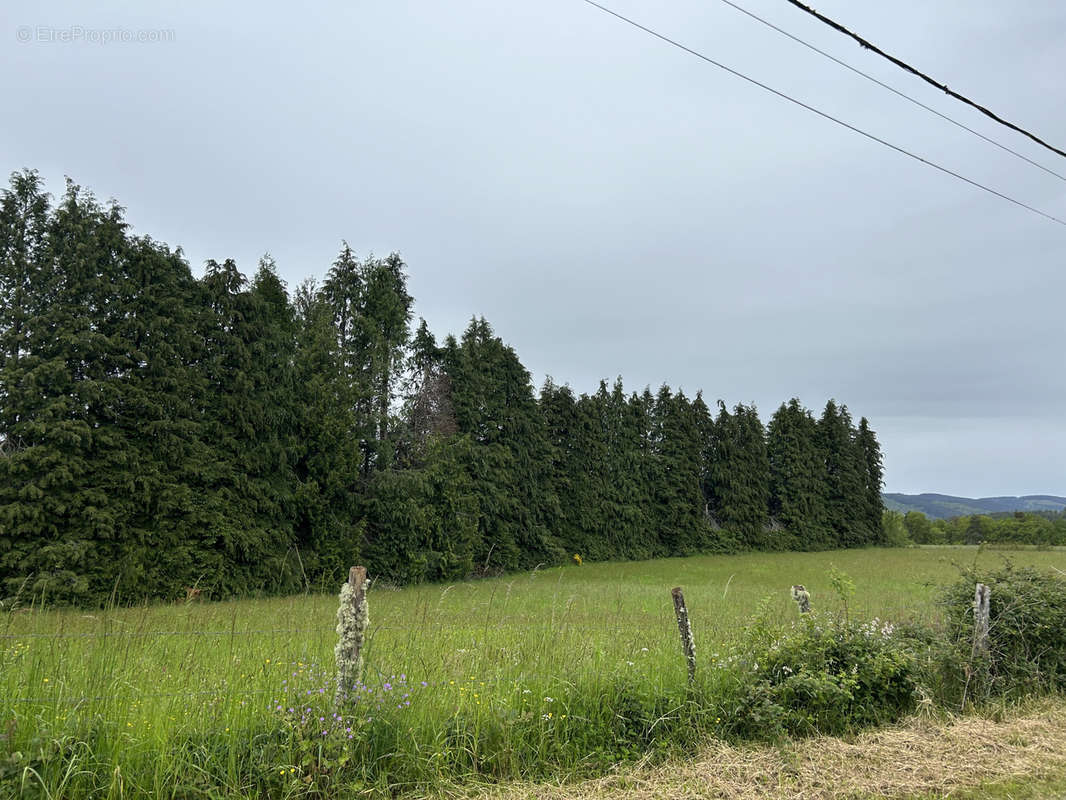 Terrain à SAINT-YRIEIX-LE-DEJALAT